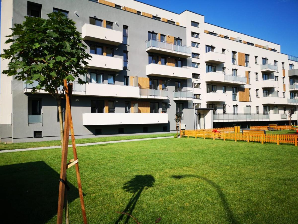 Ludi House Apartment Târgu-Mureş Exterior foto