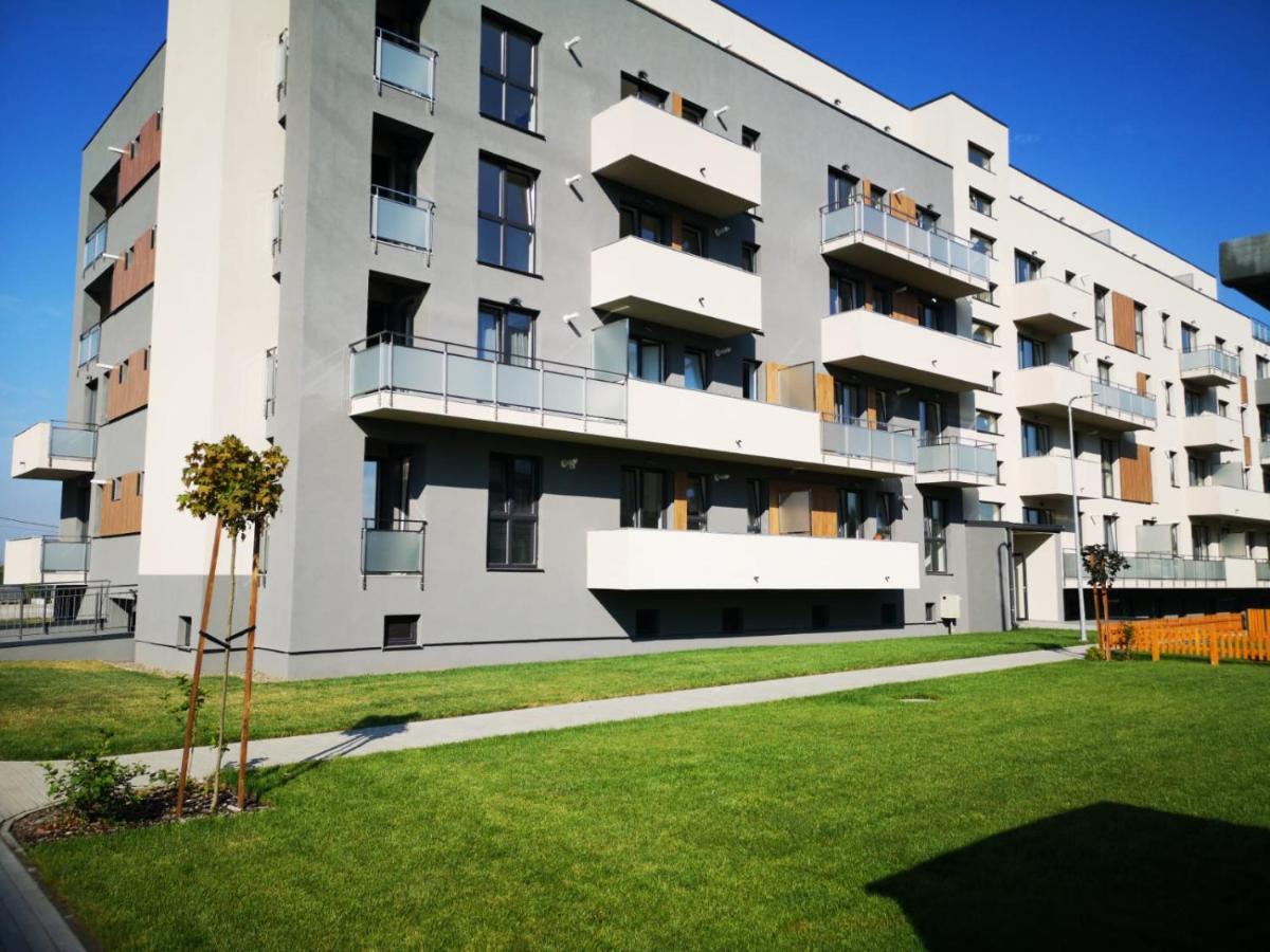 Ludi House Apartment Târgu-Mureş Exterior foto